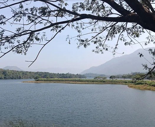 Malankara Dam and scenic green surroundings near Thodupuzha, Kerala